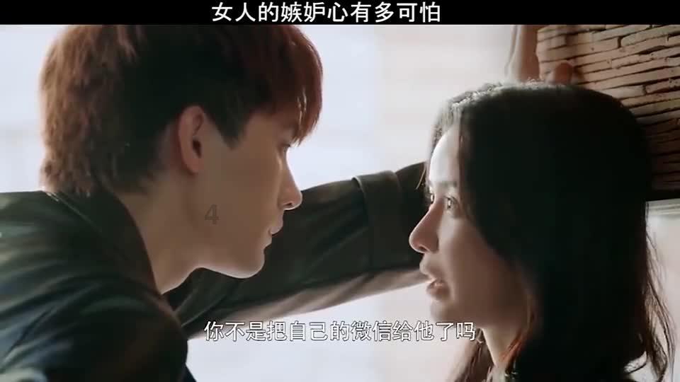 救援可爱小松鼠
